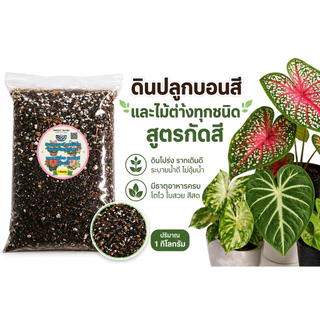 ดินปลูกบอนสี สูตรเร่งสีใบคมชัด แตกใบใหม่ไว ผสมใบมะขามหมัก + ไตรโคเดอร์ม่า ออร์แกนิค 100% สูตรโปร่ง ระบายน้ำดี พร้อมใช้