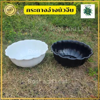 กระถางอ่างบัวจีบ มีทั้งหมด 2 ขนาด กระถางพลาสติกเกรด A มีความทนทาน ไม่แตกหักง่าย อ่างบัว อ่างเลี้ยงปลา อ่างน้ำพุ
