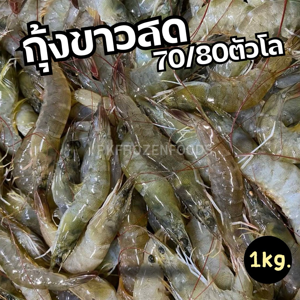กุ้งขาว กุ้งแชบ๊วย กุ้งสด 🦐(แช่แข็งก่อนส่ง) ไซต์ 70-80ตัวโล ✨1กิโลกรัม* ⚡️ส่งด่วน🔥ค่าส่งเหมา🚚💨ส่งขนส่งแช่เย็น❄️