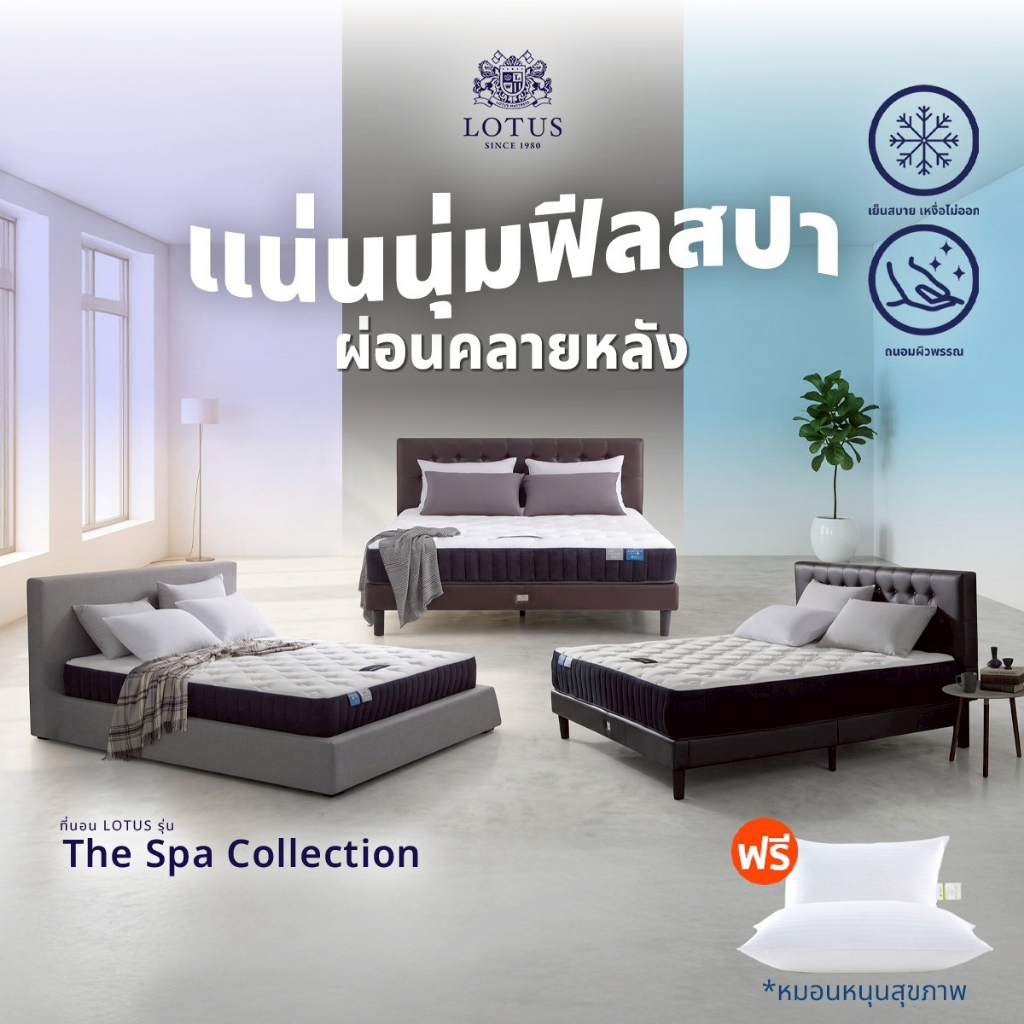 LOTUS ที่นอน The Spa คอลเลคชั่นของคนนอนหลับยาก หลับลึกจนลืมเวลา แน่นนุ่มฟีลสปา คลายปวดหลังได้ดี ฟรีหมอนสุขภาพ ส่งฟรี