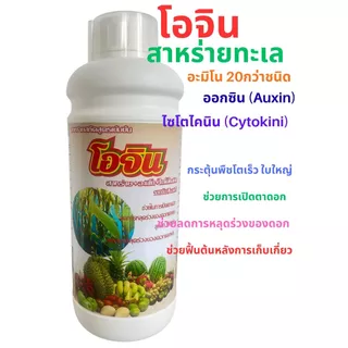 สาหร่ายอะมิโน🌟โอจิน🌱🌟+ จิ๊บ+ไซโตไคนิน สูตรเข้มข้น ช่วยการเปิดตาดอกติดผล ลดการหลุดร่วงของดอกและผล ช่วยฟื้นต้น 1