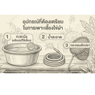 ไข่ผำ ชุดเพาะเลี้ยงไข่ผำ ผักพื้นบ้าน wolffia ขยายพันธุ์ ปลอดสารพิษ ปลอดสารเคมี พร้อมทาน ออแกนิก พืช สลัด ผลไม้