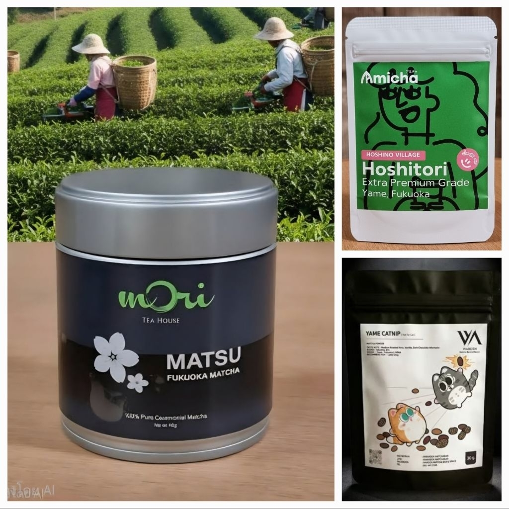 [โปร5.5]ใช้โค้ดลด🔥พร้อมส่ง✅️(เก็บแช่ฟรีซ) MORI TEA HOUSE MATSU/AMICHA HOSHITORI มัทฉะเกรดพิธีการ Cer