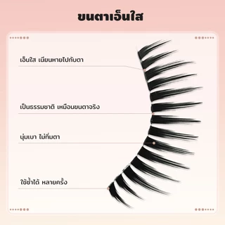 LASHSABAI K-Pop สไตล์สาวมังงะ ขนตาก้านแข็ง กันน้ำ นุ่มไม่ทิ่มตา 9–14 มม. ตากลมโต เหมาะกับตาเล็ก ตาชั้นเดียว 5 คู่ S108