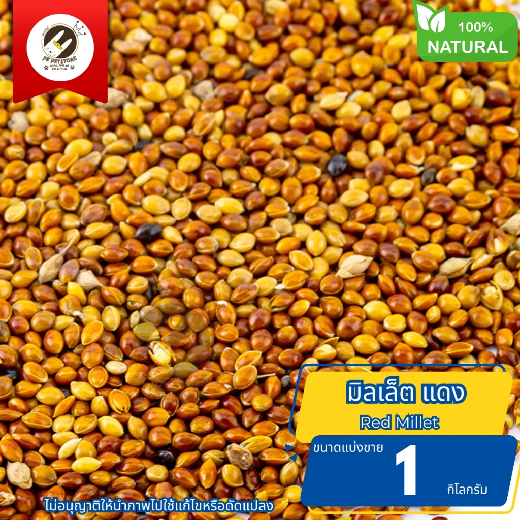 มิลเล็ต แดง Red Millet ธัญพืช Seed ขนาดแบ่งขาย เหมาะสําหรับนกหลายชนิด รวมทั้งนกหงส์หยก, นกเลิฟเบิร์ด