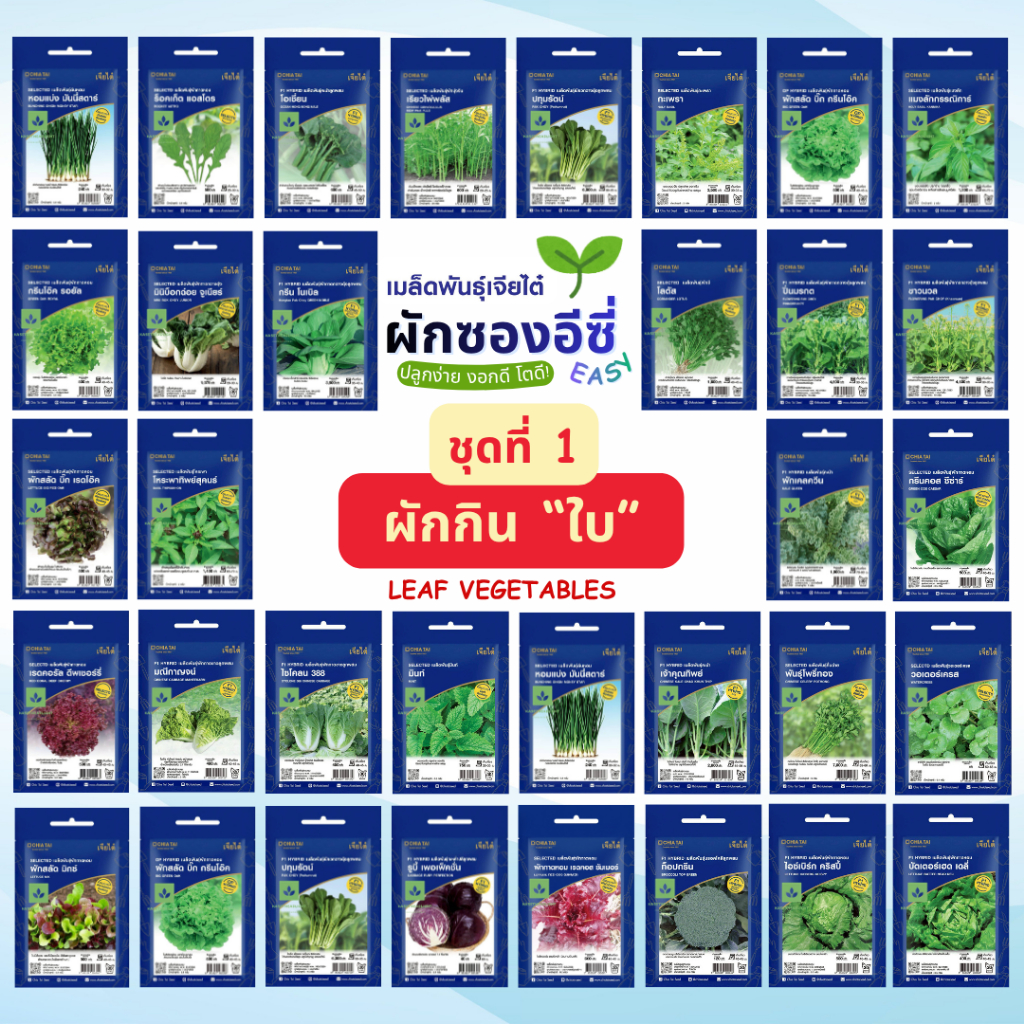 Easy เมล็ดพันธุ์ ผักกินใบ ผักสลัด พืชผักสวนครัว ปลูกง่าย งอกดี โตไว เจียไต๋ ผักซอง Seed ชุด1