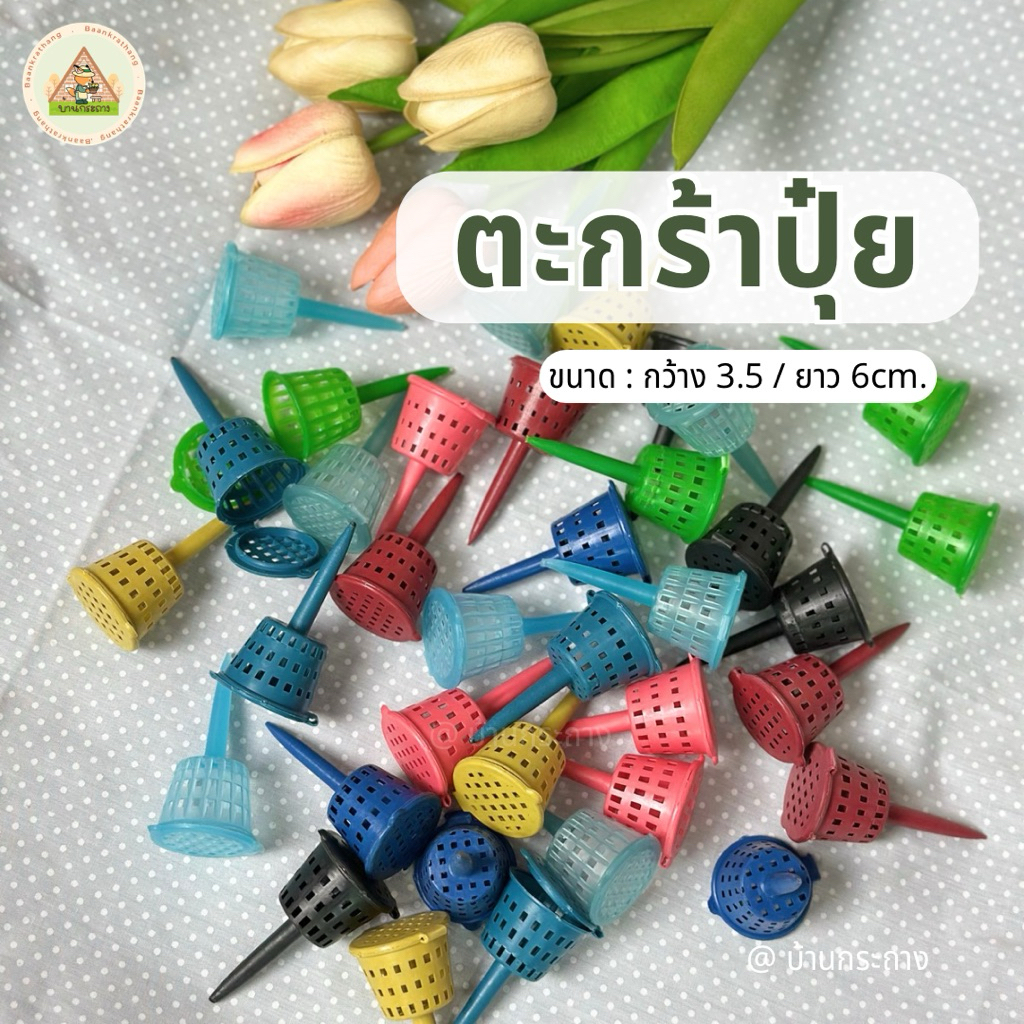 ตะกร้าใส่ปุ๋ย ขนาด 3.5cm. ตะกร้อใส่ปุ๋ย15-100ชิ้น ที่ใส่ปุ๋ยละลายช้า ใส่ปุ๋ยแคคตัส