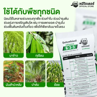 [50kg.] เร่งใบ ฟื้นต้นใหม่ 6-3-3 หมีไรเดอร์ ปุ๋ยอินทรีย์เคมี