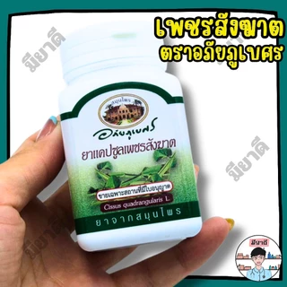 ขมิ้นชัน บัวบก รางจืด เพชรสังฆาต ตราอภัยภูเบศร ยาสามัญประจำบ้าน