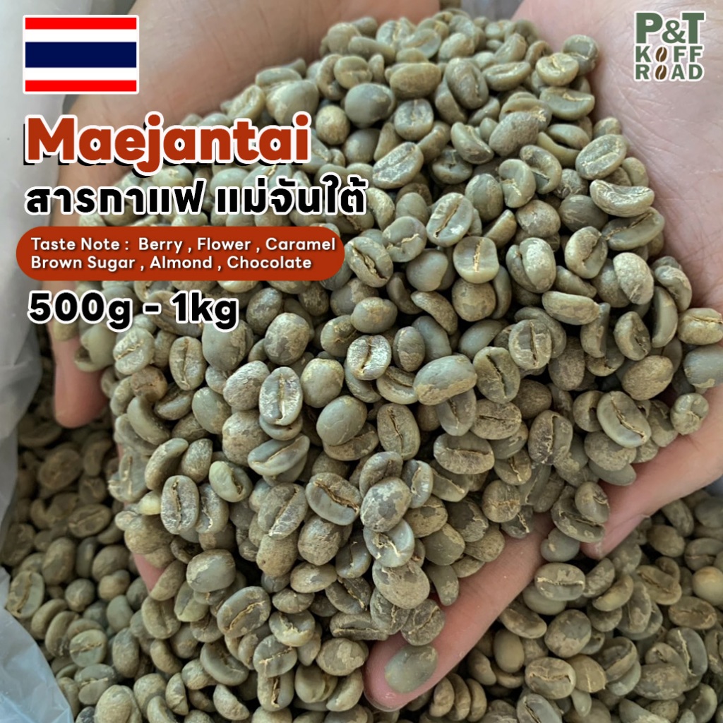 [พร้อมส่ง] สารกาแฟอราบิก้า แม่จันใต้ เชียงราย , Maejantai Chang Rai . Washed Process บรรจุ 500g -1 kg. P&T KoffRoad