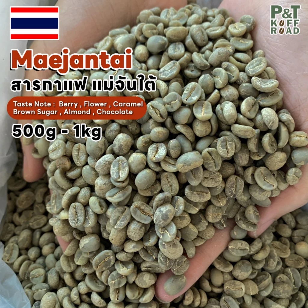 [พร้อมส่ง] สารกาแฟอราบิก้า แม่จันใต้ เชียงราย , Maejantai Chang Rai . Washed Process บรรจุ 500g -1 kg. P&T KoffRoad