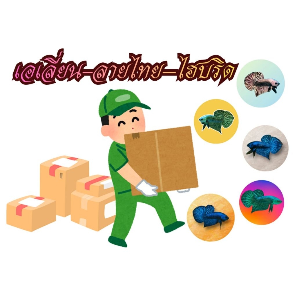 กล่องสุ่ม เอเลี่ยน- ลายไทย -ไฮบริด (สุ่มสี)