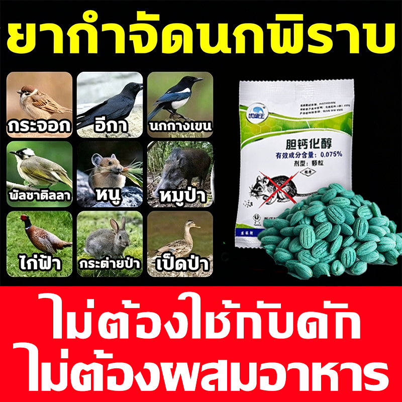ซื้อ1แถม1 ยาฆ่านกพิราบ 7เห็นผลชัวร์200% ยาเบื่อนก กำจัดนกพิราบและนกทุกชนิด ยาฆ่านก 40g แห้งเร็วและไม่มีกลิ่น ราคา ถูกที่สุด ดีลบีเคเค แกลเลอรีภาพที่ 3