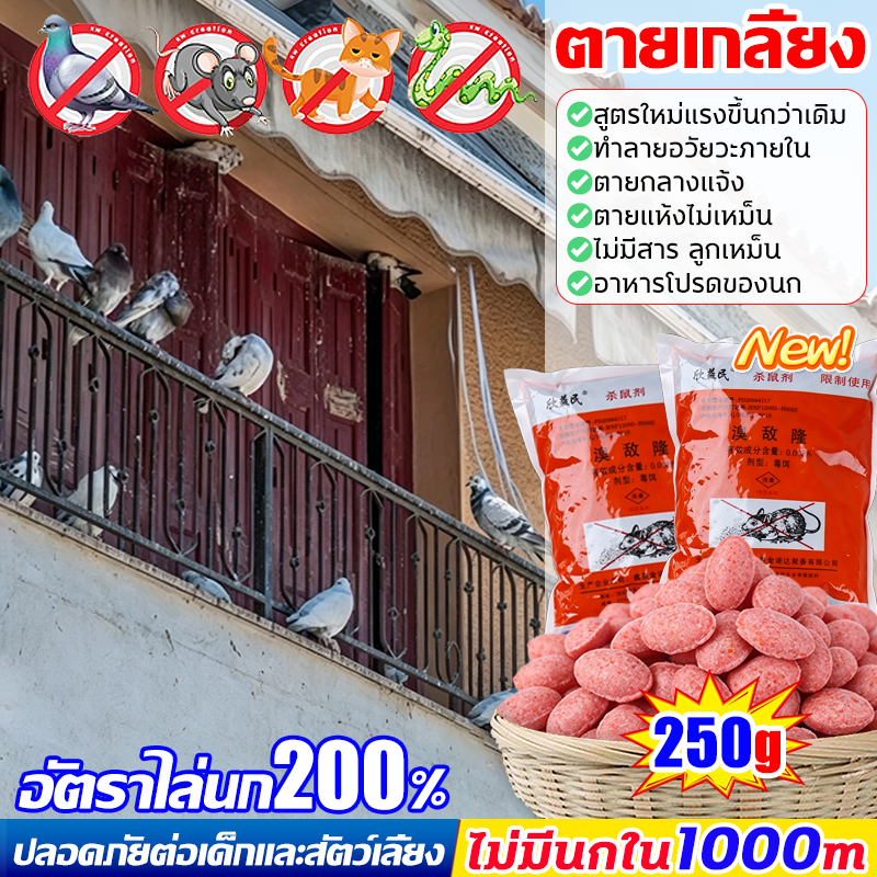 8🕊️เห็นผลชัวร์200% แลนเนท ยาเบื่อนก ยาฆ่านกพิราบ ยาฆ่านก 250g ยานกพิราบ ทำลายอวัยวะภายในตายใน 1วัน แห้งเร็วและไม่มีกลิ่น