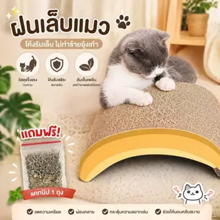 Boqi Factory ที่ฝนเล็บแมวกล่องลับเล็บแมว​ ที่ลับเล็บแมว ที่นอนแมว กระดานลับเล็บเล็บแมว แผ่นลับเล็บแมว Mat