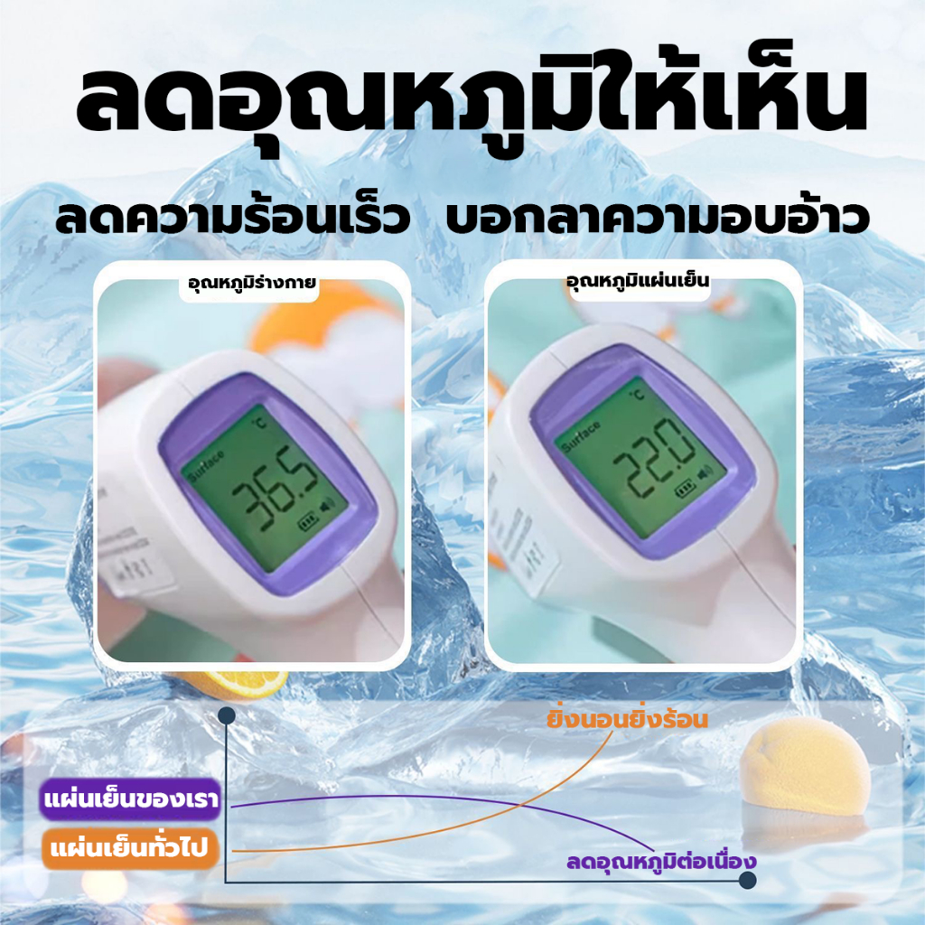 Pet Cool Bed  แผ่นรองนอนสัตว์เลี้ยง สุนัข ที่นอนเจลเย็น เบาะเย็นแมว แผ่นเย็นแมว เย็นสบาย นุ่มนวล สบายตัว ระบายอากาศดี ราคา ถูกที่สุด ดีลบีเคเค แกลเลอรีภาพที่ 2