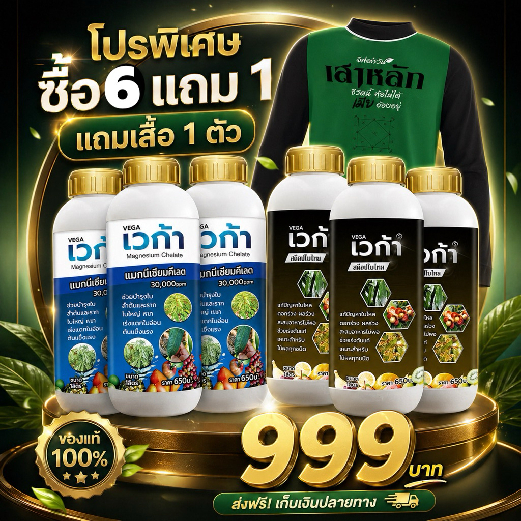 เวก้าหยุดใบไหล+เวก้าแมกนีเซียม ลดการหลุดร่วงของดอกและผล รักษาดอกและผล ช่วยขยายผล ขนาด 1 ลิตร 6ขวด
