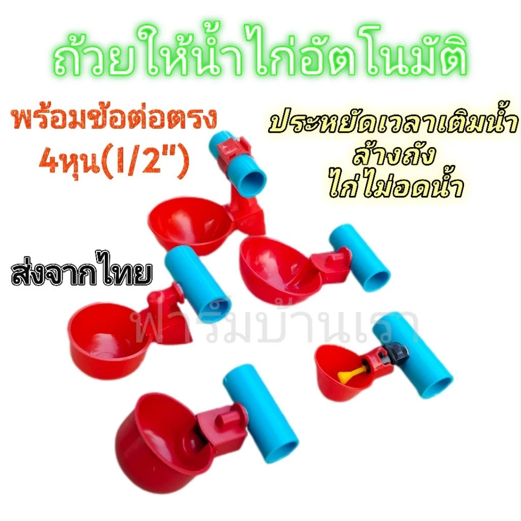 ถ้วยให้น้ำไก่อัตโนมัติ​+ข้อต่อตรง1/2" พร้อมใช้งานติดตั้งง่าย​