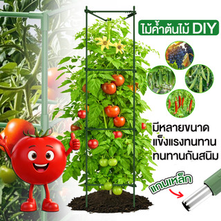 Sam's ไม้ค้ำต้นไม้ DIY เสามะเขือเทศ ซุ้มไม้ ยาว 90-150 ซม. หนา11มม. โครงปลูกผัก เหล็กเคลือบพลาส ซุ้มไม้เลื้อย