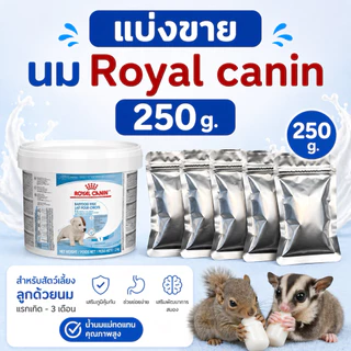 Royal canin baby dog milk 100 g. รอยัลคานิน นมผงทดแทน นมลูกสุนัข ชูการ์ไกลเดอร์ กระรอก แบ่งขาย 100 กรัม exp. 08/10/2026