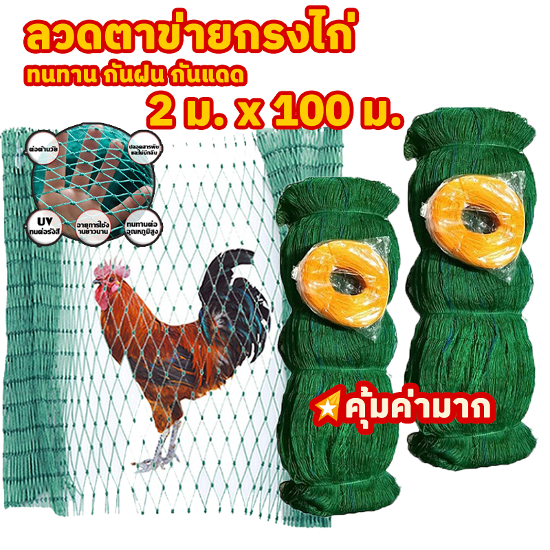 BaanBaan ตาข่ายล้อมไก่ ตาข่ายกันนก ตาข่ายปลูกผัก ดักสัตว์ โปลี กันสัตว์รบกวน ตาข่ายไม้เลื้อย มี3ขนาด