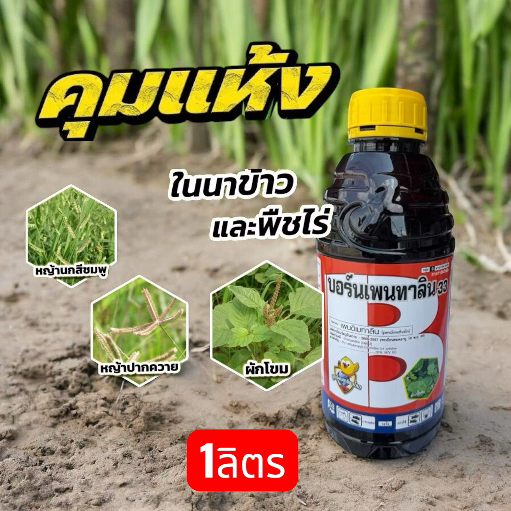 บอร์นเพนทาลิน 33 ( ชื่อสามัญ)เพนดิเมทาลิน 33% EC  สารกำจัดวัชพืช คุมวัชพืช ขนาด1ลิตร