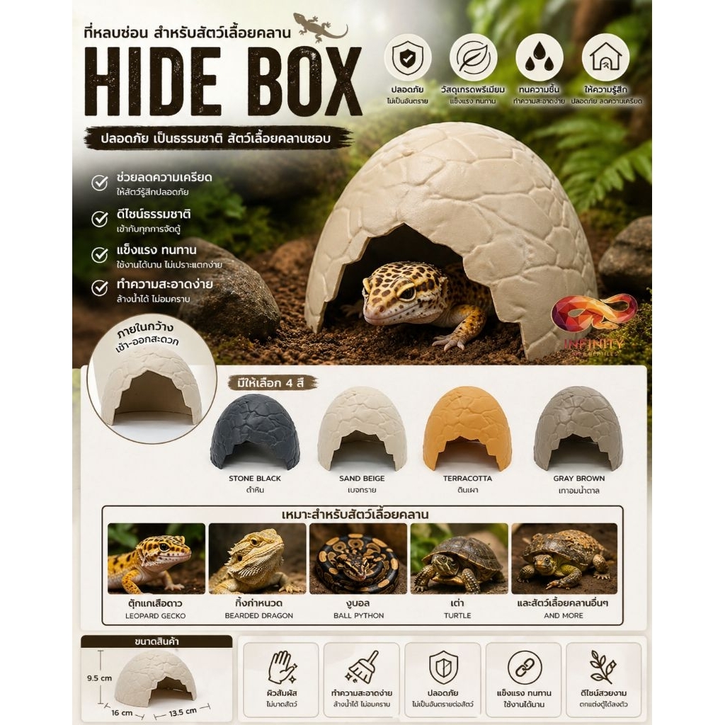 HIDE BOX รูปไข่ สำหรับสัตว์เลื้อยคลาน