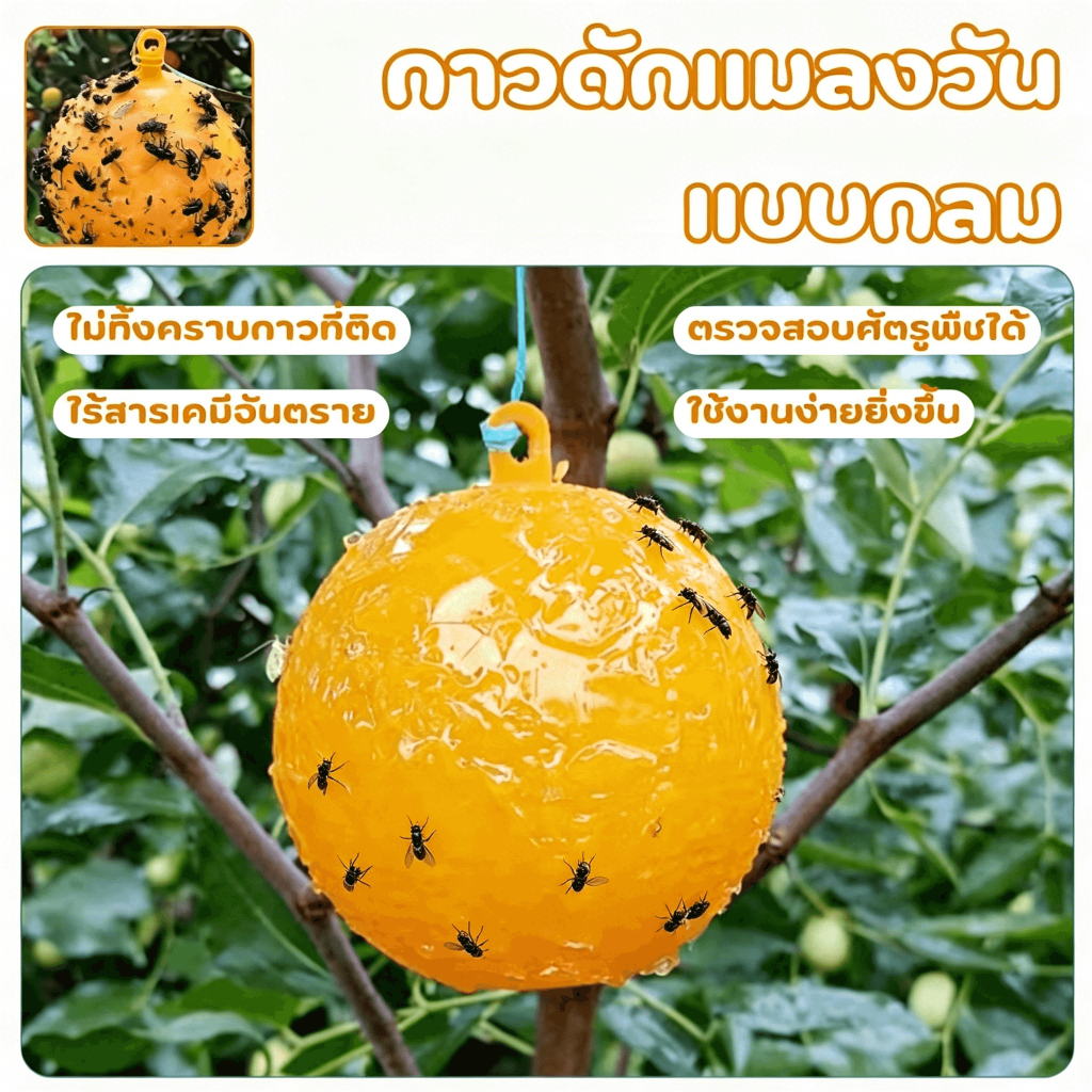 🔥รุ่นอัพเกรด 🔥ได้ผล3ปี🦟ลูกบอลดักแมลง กวาทรงพลัง กันน้ำกันแดด กาวดักแมลงหวี่ ที่ดักแมลงวันทอง กาวดักแมลงวัน ไม่ละลายกาว