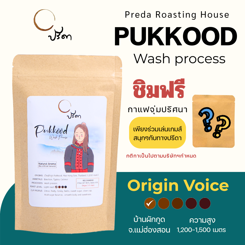 Wash Pukkood วอชผักกูด (เมล็ดกาแฟ คั่วอ่อน Light Roast กาแฟแม่ฮ่องสอน เปรี้ยวหวานลงตัว ปรีดา)