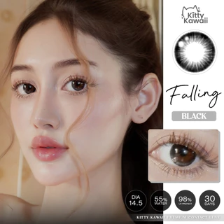 คอนแทคเลนส์ Falling Brown / Black (Kitty Kawaii) ขนาดกลาง 💙