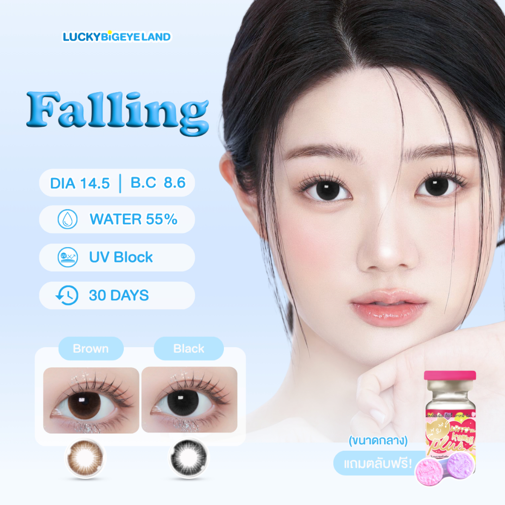 คอนแทคเลนส์ Falling Brown / Black (Kitty Kawaii) ขนาดกลาง 💙