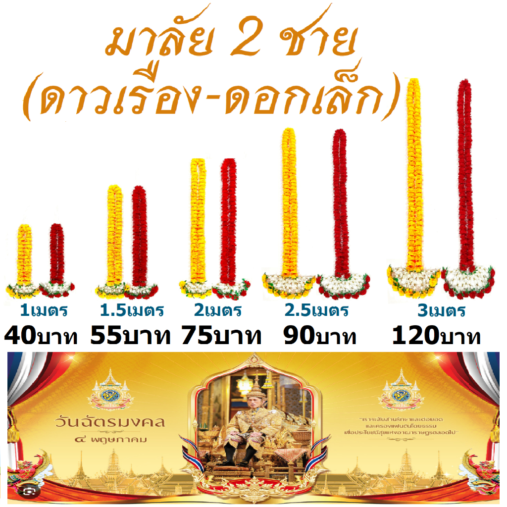 มาลัย 2 ชาย (ดอกเล็ก)  ความยาว 1 เมตร, 1.5 เมตร, 2 เมตร, 2.5 เมตร, 3 เมตร – โปรปัง