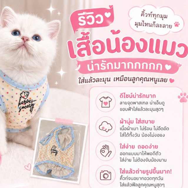 มีส่งด่วน 🛵KIREI SOCIETY FOR PET เสื้อปักสุดคิ้วท์สำหรับน้องแมว🐱🐶✨ทาสแมวเลิฟสิ่งนี้💖✨