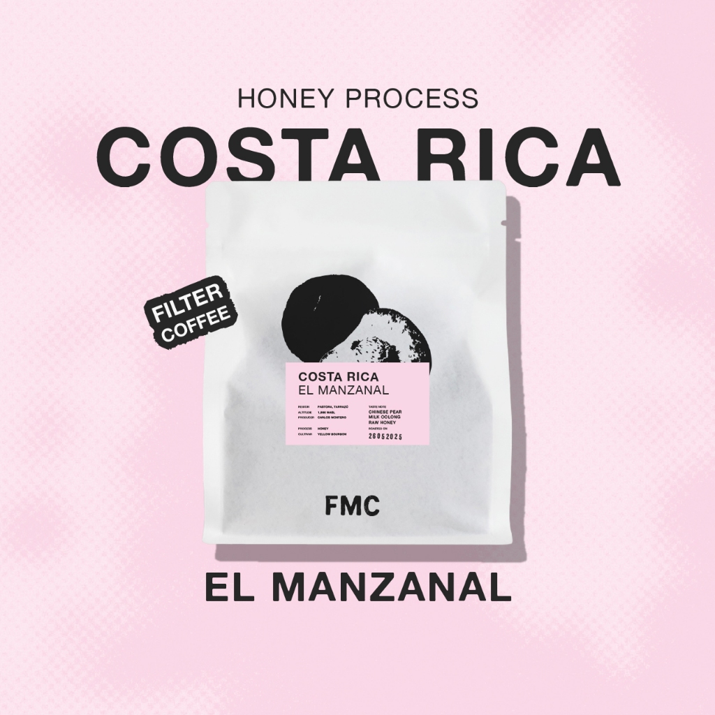Feast Monday Coffee - เมล็ดกาแฟคั่วอ่อน Costa Rica El Manzanal (Light Roast) Honey