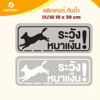 สติกเกอร์ เตือน ระวังหมาหลุด ระวังแมวแง๊น ระวังแมววิ่ง ขนาด 10*30 ซม ติดประตู กระจก PVC กันน้ำ