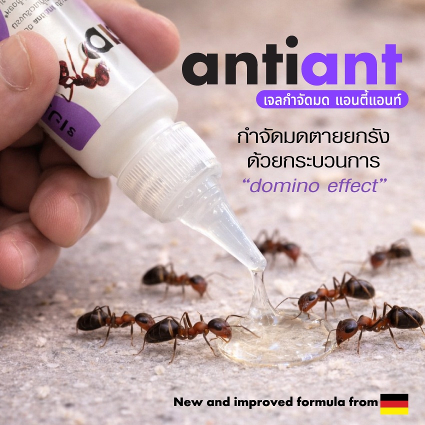 เจลกำจัดมด -ของแท้ 100%- ร้านส่งไว