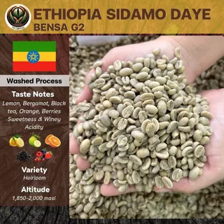 สารกาแฟ Ethiopia Sidamo Daye Bensa G2 อราบิก้า/Washed สั่งซื้อเกิน 20kg. ทักแชท เมล็ดกาแฟดิบ
