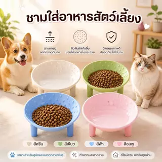 Boqi Factory ชามอาหารสัตว์เลี้ยง ชามลดการกินไว ชามอาหารฝึกให้ทานช้าลง สุนัขและแมว Snackbow