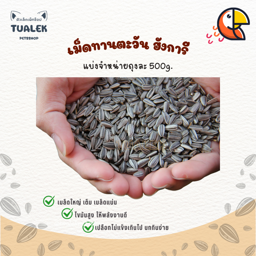 Sunflower seeds (Hungarian origin) อาหารนก เมล็ดทานตะวันฮังการี ทานตะวันฮังการี ทานตะวันเม็ดเล็ก 500g.