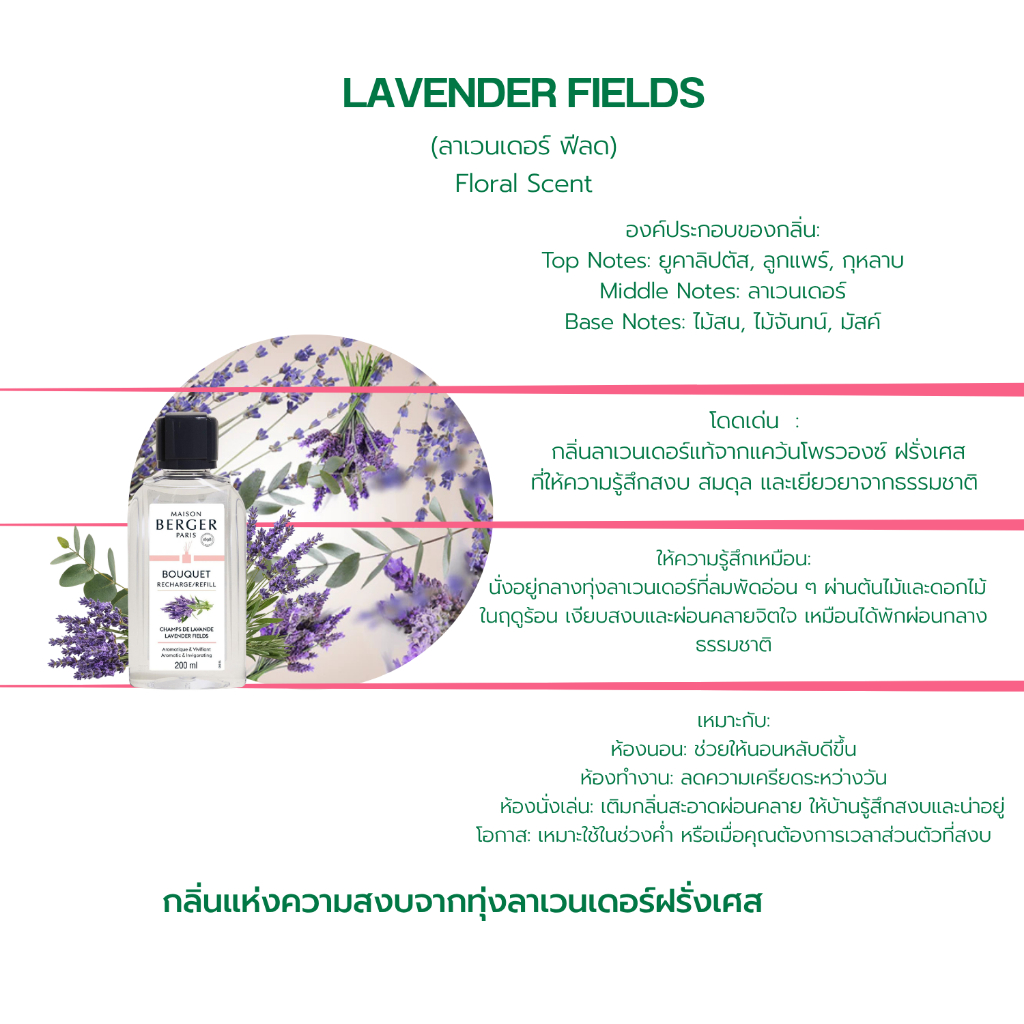 Maison Berger Lavender Field 200ml รีฟิลก้านหอม ลาเวนเดอร์ น้ำหอมปรับอากาศ บ้านหอม ผ่อนคลาย Reed Diffuser Refill ราคา ถูกที่สุด ดีลบีเคเค แกลเลอรีภาพที่ 2