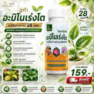 น้ำตาลทางด่วน ชูก้าร์ และ อะมิโนเร่งโต โตไว ใบสวย ต้นสมบูรณ์ ขวดละ500cc (1ชุด2 ขวด) แถมปุ๋ยเม็ด500g