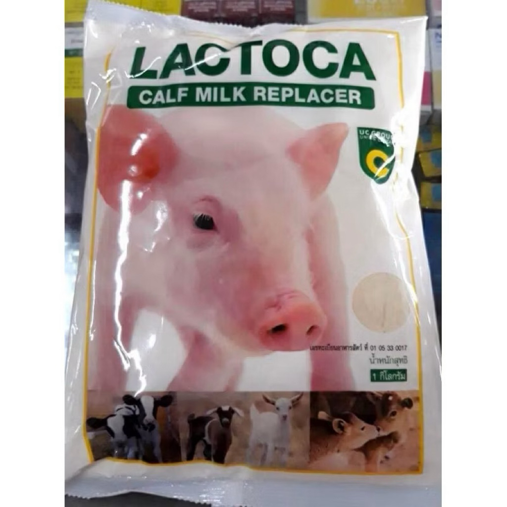 นมผง Lactoca สำหรับลูกสัตว์ โปรตีนสูง 20%
