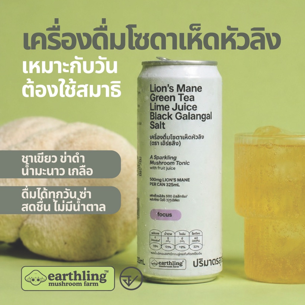 เครื่องดื่มโซดาเห็ดหัวลิง l Lion's Mane Green Tea Lime Juice Black Galangal Salt l เหมาะกับวันใช้สมาธิ