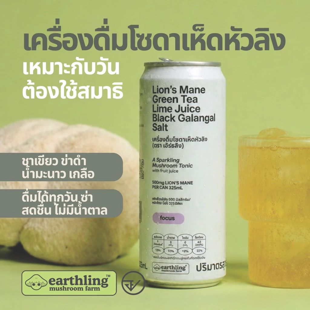เครื่องดื่มโซดาเห็ดหัวลิง l Lion's Mane Green Tea Lime Juice Black Galangal Salt l เหมาะกับวันใช้สมาธิ I 10 กระป๋อง/แพ็ค