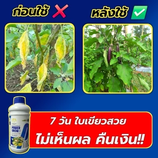 #Powergrow#พาวเวอร์โกรว์#5แถม3ลิตร