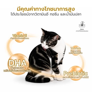 Nekko Pouch เน็กโกะ อาหารเปียกสำหรับแมวโตในเกรวี่ ขนาด 70 กรัม ตัวเลือก 1 โหล / 4 โหล Petus Kingkaew