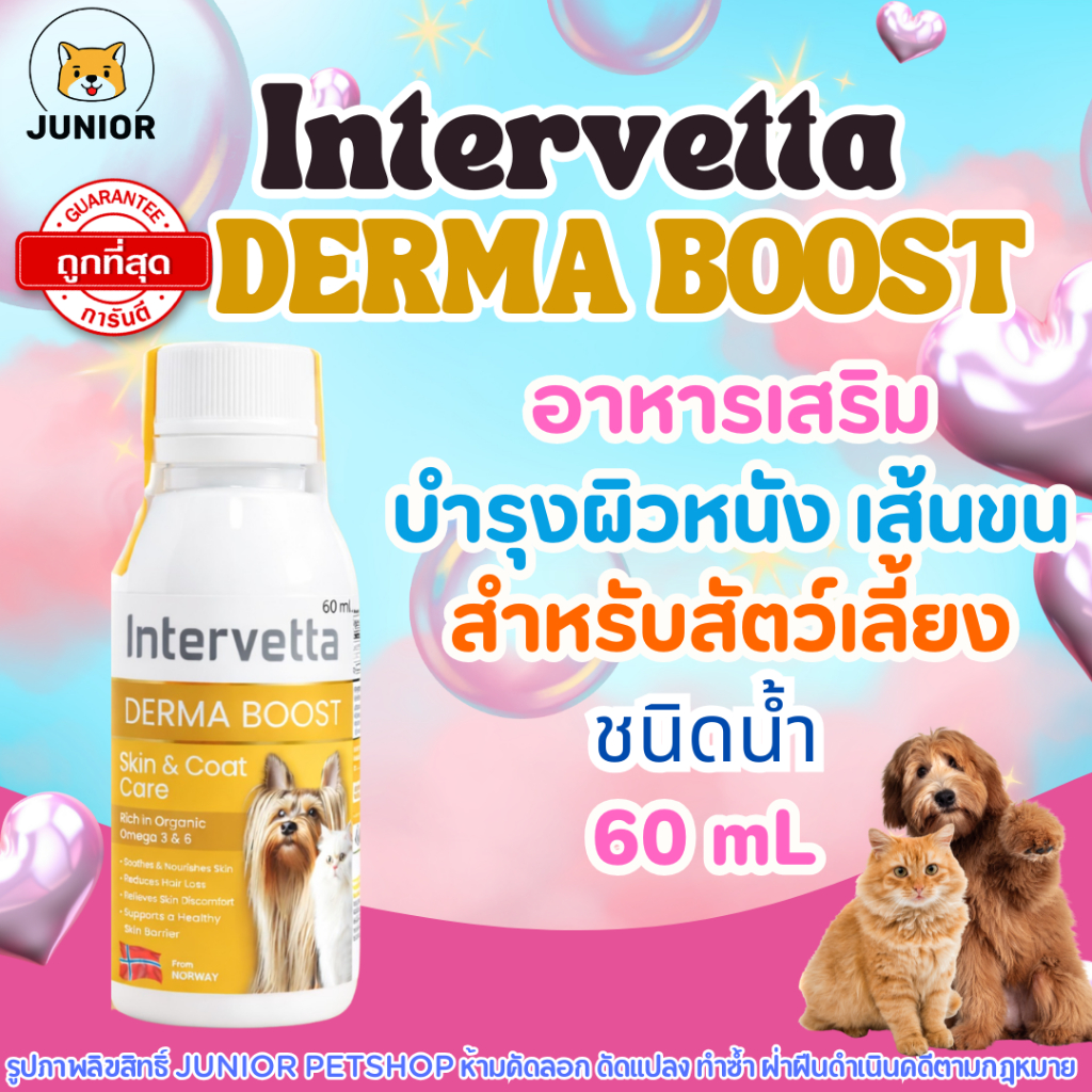 Intervetta Derma Boost อาหารเสริมชนิดน้ำ บำรุงผิวหนัง ช่วยลดคัน ต้านอักเสบ หยุดขนร่วง บำรุงขนสำหรับสัตว์เลี้ยง