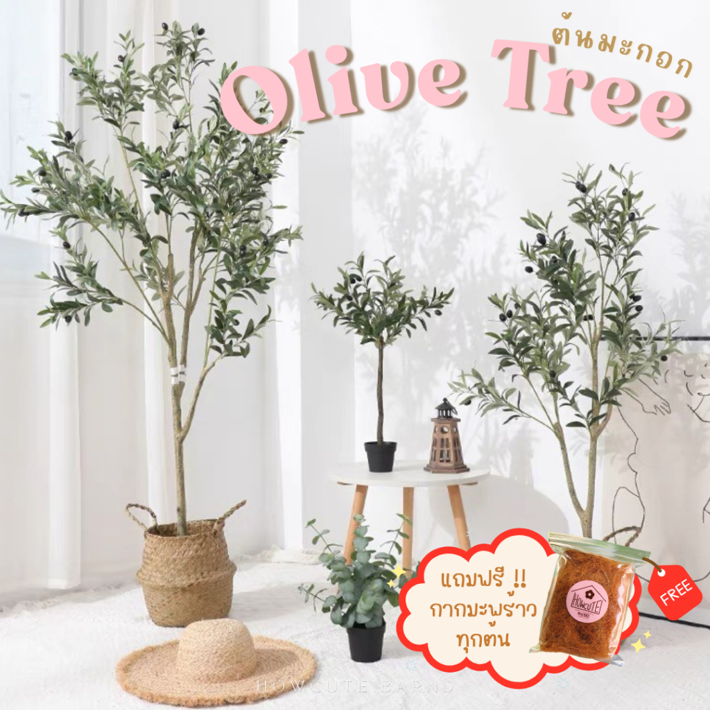 [PRE14วัน]🫒🍃OLIVE TREE ต้นมะกอกปลอม ต้นโอลีฟ เหมือนจริงมินิมอลมาก ช่วยเสริมความปังด้วยน้า