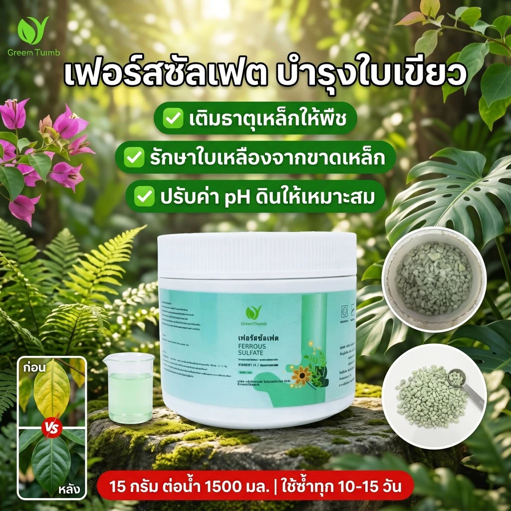 【GreenThumb】เฟอร์รัสซัลเฟต 250 กรัม ปรับสภาพดิน ลดความเป็นด่าง บำรุงธาตุเหล็ก ป้องกันใบเหลือง ใช้ได้กับไม้ใบ ไม้กระถาง