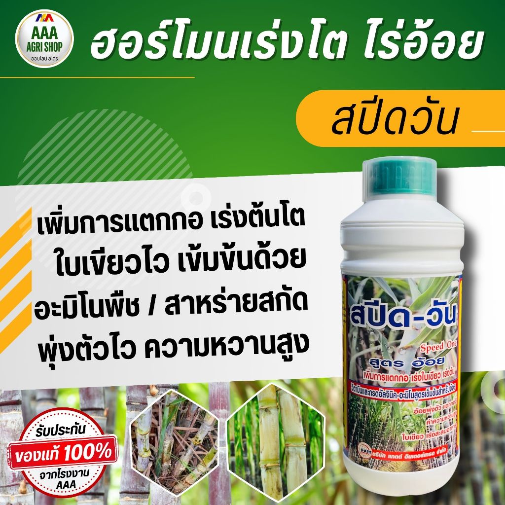 สปีดวัน สูตรอ้อย เร่งแตกกอ เร่งใบเขียว เพิ่มความหวานอ้อย บำรุงอ้อยโตไว ลำอ้อยใหญ่ น้ำหนักดี ปุ๋ยน้ำอ้อย ฮอร์โมนอ้อย